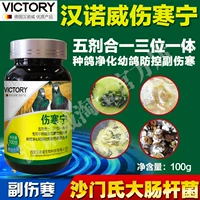 Chim bồ câu thương hàn Chim bồ câu Ningxin E. Salmonella paratyphoid chim cung cấp nước màu xanh lá cây - Chim & Chăm sóc chim Supplies máng nước tự đông cho gà