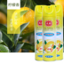 tẩy bồn cầu thái Air Freshener xịt nhà hương liệu xe hương chanh hương thơm trong nhà chất lỏng khử mùi phòng tắm khử mùi - Trang chủ nước lau sàn chống muỗi Trang chủ