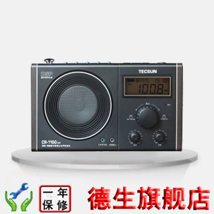 Tecsun/Desheng CR-1100DSP FM/Выборочная демонстрационная рагу