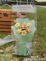 B Pufffice Flower/Blue Paper +Светодиодный свет +прозрачный подарочный пакет