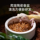 SuperRep € € 櫕阒 冮 冮 冮 €   鐩嗙 埇 鐩嗙 埇 鐩嗙 埇 铚 铚 畧瀹  瑑镫 瑑镫 鍖 櫕澶 铏 棤 棤 鐡 鐡 鐡 鐡 鐡 鐡 鐡 鐡 鐡 鐡 鐡 鐡 棤 岄櫠 鐡 鐡 鐡 鐡 鐡 鐡 鐡 鐡鐡 鐡 鐡 鐡 鐡 鐡 鐡 鐡 鐡 鐡 鐡 鐡 鐡