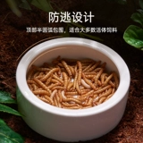 SuperRep € € 櫕阒 冮 冮 冮 €   鐩嗙 埇 鐩嗙 埇 鐩嗙 埇 铚 铚 畧瀹  瑑镫 瑑镫 鍖 櫕澶 铏 棤 棤 鐡 鐡 鐡 鐡 鐡 鐡 鐡 鐡 鐡 鐡 鐡 鐡 棤 岄櫠 鐡 鐡 鐡 鐡 鐡 鐡 鐡 鐡鐡 鐡 鐡 鐡 鐡 鐡 鐡 鐡 鐡 鐡 鐡 鐡 鐡
