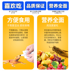 Насекомое питания рептилий/мин 日本原装 hikari高够力昆虫性凝胶饲料守宫捷角r属鬃狮蜥蜴饲料