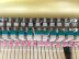 Nhật Bản nhập khẩu đàn piano Yamaha dành cho người mới bắt đầu sử dụng dọc dành cho người mới bắt đầu thử nghiệm YAMAHA U1 G - dương cầm piano dương cầm
