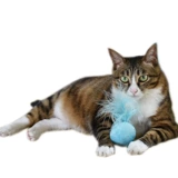 Сопровождающий качественный хрустальный плюш, звук, маленький мяч, игрушка для кошек, мятный шарик с перьевой кошкой