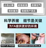 Подключение -в розовых зверях Используйте свисью свинома