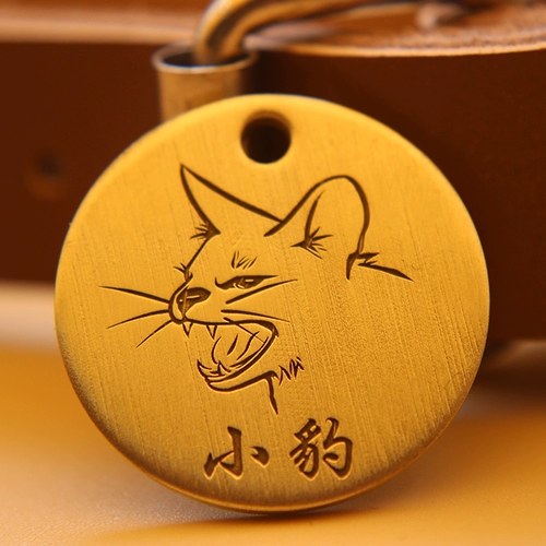 Индивидуальные фото собаки для предотвращения потери.