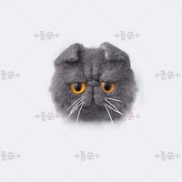Нефинансируемые продукты [Garfield-Dazz] для покупки отдельно
