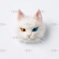 Нефинансируемые продукты [персидский кот-маскар] для покупки отдельно