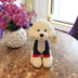 Mô phỏng Teddy Dog Doll Đồ chơi sang trọng VIP Dog Doll Ragdo Dễ thương Gối Quà tặng Cô gái - Đồ chơi mềm đồ chơi bác sĩ cho bé Đồ chơi mềm