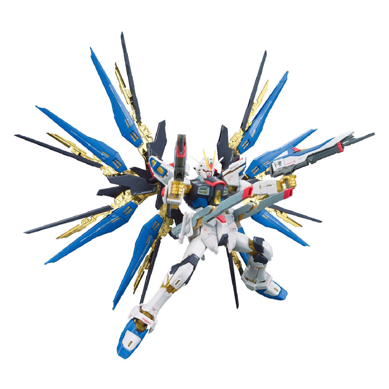 Strike 14. Gundam Strike Freedom. ZGMF-x20a Strike Freedom Gundam Art. RG Freedom.