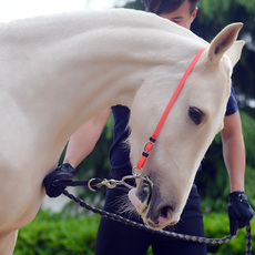 трензель 拉马口衔铁烈马口衔铁含拉马水勒马匹装备马嚼子马具