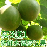 Свежие фрукты Luo Han Guo забирают один год и один сезон.