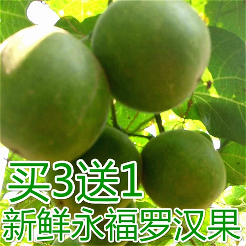 Свежие фрукты Luo Han Guo забирают один год и один сезон.
