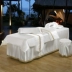 Mùa hè cao cấp vẻ đẹp giường bao gồm bốn bộ lụa mô phỏng phong cách châu Âu bốn mảnh màu hồng tinh khiết massage giường tùy chỉnh - Trang bị tấm