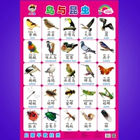 Птичья и языковая королевство насекомых