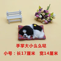 Маленькая спящая собака черно -белый блок