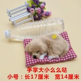 Симуляция будет называться тканью плюшевой спящей собакой Статический дом для дома