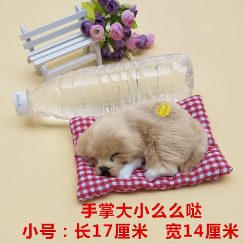 Симуляция будет называться тканью плюшевой спящей собакой Статический дом для дома