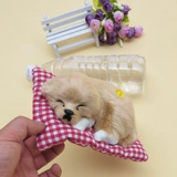 Симуляция будет называться тканью плюшевой спящей собакой Статический дом для дома