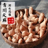 [赵海伶|海伶山珍干天麻青川天麻无硫熏自挖100g天麻素含量≥0.4%]