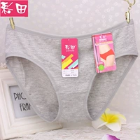 Đồ lót nữ Caiti 213 cô gái cotton chất lượng cotton thoáng khí eo thấp tam giác sịp đùi