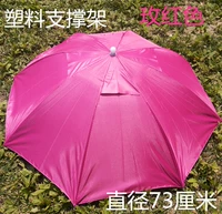 Большая роза красная