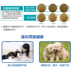 Chó con men vi sinh điều hòa tiêu hóa chó con chó con chó con kích hoạt khỏe mạnh chó ăn Golden Retriever Bomei Teddy Dog Cat GM - Cat / Dog Health bổ sung sữa cho chó con Cat / Dog Health bổ sung
