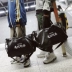 Túi du lịch khoảng cách ngắn nữ xách tay Hàn Quốc phiên bản lớn của túi hành lý du lịch công suất lớn túi xách du lịch cỡ lớn Túi du lịch