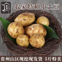 Guizhou Little Tudou 5 фунтов бесплатная доставка мини -желтая пилинговая ферма, посадка свежего небаржевого картофеля картофеля картофеля