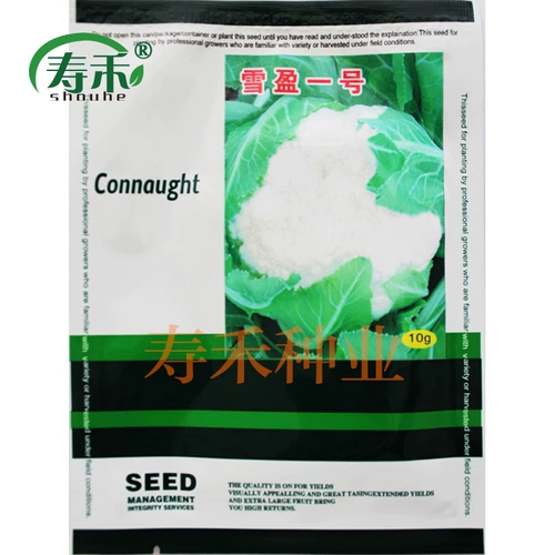 Голландские семена цветной капусты № 1 2, семена семян семян цветной капусты, весна и осень, от 60 дней до 75 дней