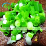 Four Seasons Seed Seedlings