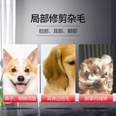 Машинка для стрижки животных 科德士宠物电推剪专业狗狗推脚毛器二合一磨甲器猫咪狗狗剃脚毛器