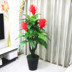 Cây giả hoa anthurium hoa giả chậu trồng cây sàn lớn cây xanh phòng khách trong nhà hoa trang trí mô phỏng cây nhựa hoa - Hoa nhân tạo / Cây / Trái cây cây hoa giả Hoa nhân tạo / Cây / Trái cây