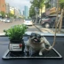 Sáng tạo xe trang trí luật bắt nạt chó dễ thương cung cấp xe trên xe trang trí phụ kiện trang trí xe ô to Ô tô nội thất Accesseries