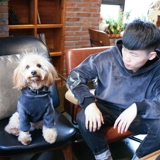 Тедди Померанский Корги Кот одежда осень и зимние щенки Толстовка питомец