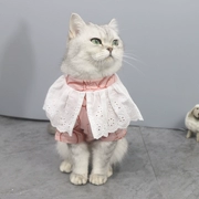 Dễ thương mèo quần áo công chúa gió mùa hè bông mỏng phần chó nhỏ áo thun vest thú cưng trang phục - Quần áo & phụ kiện thú cưng