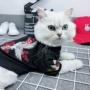Nguyên bản tùy chỉnh thú cưng mèo quần áo mùa hè mỏng phần cotton thoáng khí thêu cá tính Teddy trang phục - Quần áo & phụ kiện thú cưng quần áo cho mèo con