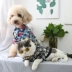 Sáng tạo thú cưng in da mùa xuân và mùa hè quần áo chó mèo mỏng gấu gấu thủy triều thương hiệu quần áo chó nhỏ - Quần áo & phụ kiện thú cưng