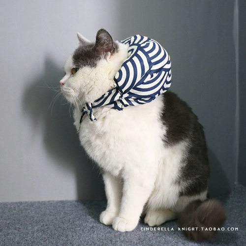 Мастер собирается убежать!Pet Dog Puppies Bazaar Ying Siam Cat Little Barry продает милые подушки кошки шарфы