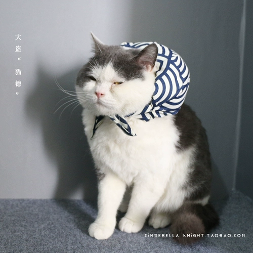 Мастер собирается убежать!Pet Dog Puppies Bazaar Ying Siam Cat Little Barry продает милые подушки кошки шарфы