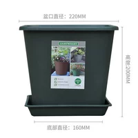 [艾米方盆220带托盘]
