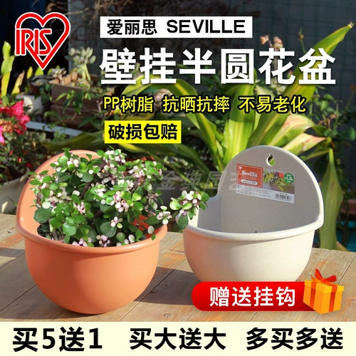 Али Севильский Полу закрученного цветочного кастрюли № 6-7 330 330 Алиса