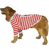 Большая собачья одежда Золотая ратабулда Пет Самоя Аляска Большая собака Лето средняя большая большая собака тонкая