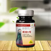 Chiến đấu với chim bồ câu thuốc số 6 chai điều trị đường hô hấp quần áo ban đầu mắt lạnh miệng thở chim bồ câu cung cấp thuốc - Chim & Chăm sóc chim Supplies thức ăn cho chim cút