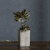 Xi măng hiện đại vuông trang trí cao cọc cũ mọng nước hoa chậu nghệ thuật sáng tạo đá bê tông bình hoa - Vase / Bồn hoa & Kệ