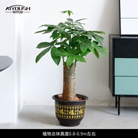 80-90 см одиночный выстрел [Пластиковый бассейн]