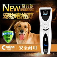 Cordi Professional Pet Electric Push Teddy Dog Shaved Grabing Dog Hair Push-Push-Sub-Supplies CP-8000