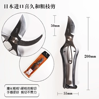 Япония импортировала Hiriyoshi и крупные филиалы