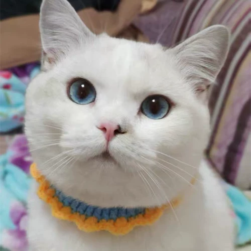 Милый чокер ручной работы, кролик, регулируемый шарф, кот, подсолнух, кошки и собаки